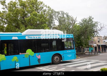 Balmain Sydney, Nero Emissions Bus mit öffentlichen Verkehrsmitteln auf Darling Street an einer Pelikan Kreuzung, Sydney, NSW, Australien Stockfoto