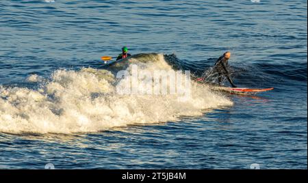 Surfer, die große Wellen für Wassersport genießen Stockfoto