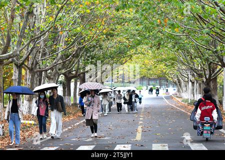 QINGDAO, CHINA - 4. NOVEMBER 2023 - Studenten fahren und laufen auf der Wutong Avenue an der Shandong University of Science and Technology an der Westküste Stockfoto