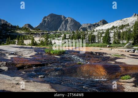 WY05654-00...WYOMING - Little Sandy Creek, der die granitbedeckten Hänge unterhalb des Deep Lake absteigt; Bridger Wilderness. Stockfoto