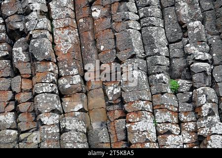 Nahaufnahme der Felsformation am Giants Causeway in Nordirland Stockfoto