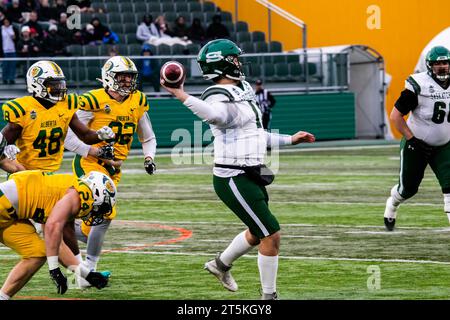 Edmonton, Kanada. November 2023. (11) Anton Amundrud von der University of Saskatchewan Huskies wirft im Halbfinale von Canwest gegen die Golden Bears der University of Alberta den Ball nach unten. University of Alberta Golden Bears 40:17 University of Saskatchewan Huskies Credit: SOPA Images Limited/Alamy Live News Stockfoto