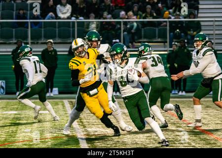 Edmonton, Kanada. November 2023. (88) Rhett Vavra von der University of Saskatchewan Huskies läuft im Canwest Halbfinale gegen die Golden Bears der University of Alberta um die Verteidigung. University of Alberta Golden Bears 40:17 University of Saskatchewan Huskies Credit: SOPA Images Limited/Alamy Live News Stockfoto