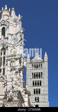 Antiker Glockenturm der Kathedrale von Siena in der Toskana in Italien Stockfoto