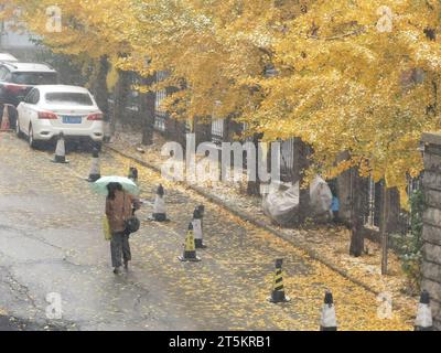 Ansicht des ersten Schneesturms 2023 in Shenyang, Provinz Liaoning, China, 6. November 2023. Stockfoto