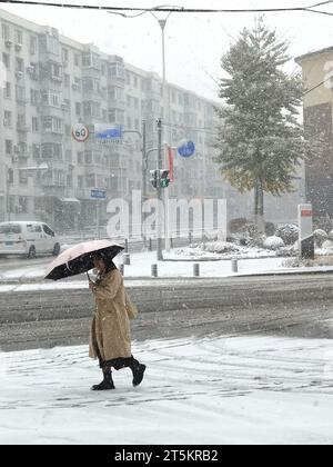 Ansicht des ersten Schneesturms 2023 in Shenyang, Provinz Liaoning, China, 6. November 2023. Stockfoto