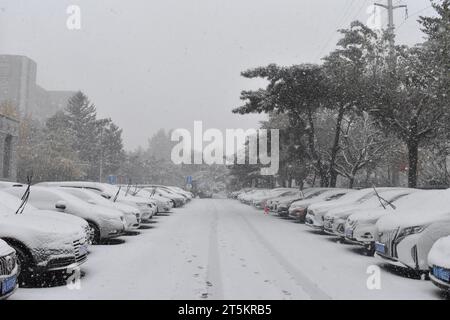 Ansicht des ersten Schneesturms 2023 in Shenyang, Provinz Liaoning, China, 6. November 2023. Stockfoto