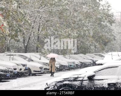 Ansicht des ersten Schneesturms 2023 in Shenyang, Provinz Liaoning, China, 6. November 2023. Stockfoto