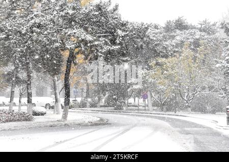 Ansicht des ersten Schneesturms 2023 in Shenyang, Provinz Liaoning, China, 6. November 2023. Stockfoto