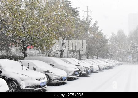 Ansicht des ersten Schneesturms 2023 in Shenyang, Provinz Liaoning, China, 6. November 2023. Stockfoto