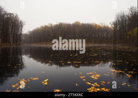 Wunderschöne nebelige Herbstlandschaft mit Wald am Ufer und seine Reflexion im Seenwasser Stockfoto