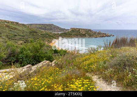 Golden Bay in Malta im Frühling Stockfoto