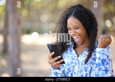 Aufgeregte schwarze Frau, die das Telefon überprüft und gute Nachrichten in einem Park feiert Stockfoto