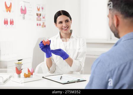 Endokrinologe zeigt Schilddrüsenmodell dem Patienten am Tisch im Krankenhaus Stockfoto