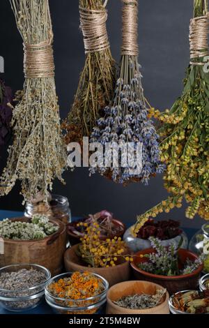 Viele verschiedene Kräuter und Blumen auf grauem Hintergrund Stockfoto