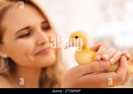 Nahaufnahme des Gesichts einer glücklichen blonden jungen Frau, die niedliche kleine gelbe Entlein in den Händen hält, im Haus des Sommerpavillons an sonnigem Tag. Konzept der Exkursion nach Stockfoto