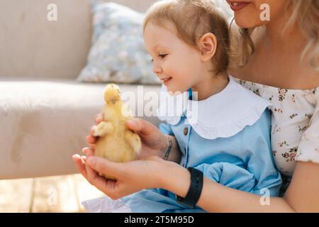 Abgeschnittene Aufnahme einer niedlichen jungen Mutter und einer niedlichen Tochter im Kleid, die mit kleinen gelben Entlein am sonnigen Tag im Gartenlaube-Haus spielt. Stockfoto