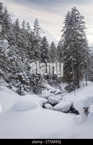 Schnee malerische Szene im Winter. Winter Bergwald. Tannenzweige bedeckten Schnee. Gefrorener Bergfluss Stockfoto