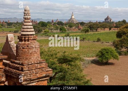 BAGAN-TEMPEL MYANMAR Stockfoto