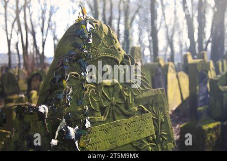 Krakau, Polen - 9. Februar 2020: Grabsteine im Unterholz auf dem Neuen Jüdischen Friedhof in der Miodowa-Straße. Der vernachlässigte, bewachsene Friedhof Stockfoto