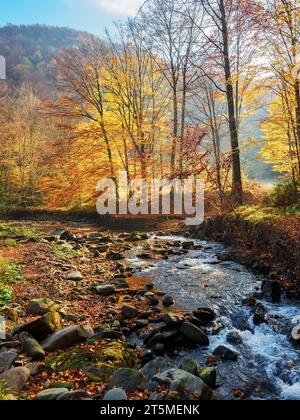 Landschaft mit Steinen und Felsen am Ufer eines Flusses. Herbstlandschaft in den Bergen Stockfoto