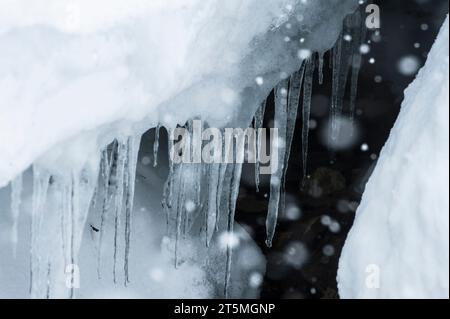 Detail einer Landschaft mit fallenden Schneeflocken und Stalaktiten Stockfoto