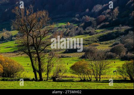 Herbstfarben der Vegetation und Landschaft des Val Fondillo in den Abruzzen Latium und Molise Nationalpark. Abruzzen, Italien, Europa Stockfoto