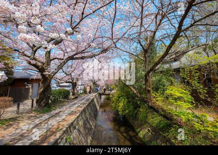 Kyoto, Japan – März 30 2023: Der Weg der Weisen ist ein Steinweg durch den nördlichen Teil des Stadtteils Higashiyama von Kyoto. Der Pfad folgt einer Dose Stockfoto