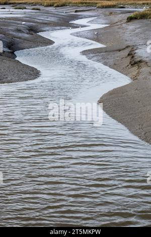 Ein Gezeitenkanal im Langwarder Groden, Teil des Nationalparks Niedersächsisches Wattenmeer Stockfoto