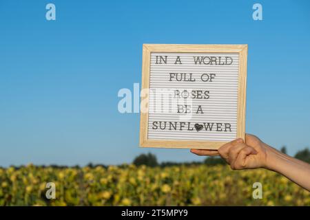 IN Einer WELT VOLLER ROSEN IST Ein SONNENBLUMENTEXT auf weißem Tafel neben dem Sonnenblumenfeld. Sonniger Sommertag. Inspirierendes Zitat zur Motivationsunterschrift. Ein einzigartiges Konzept Stockfoto