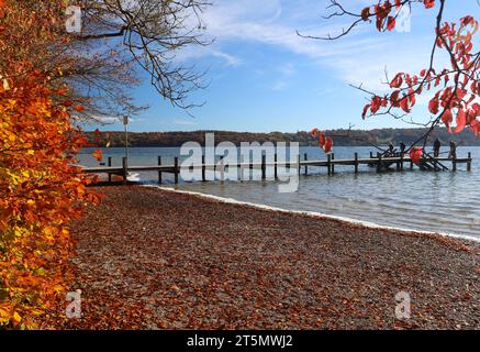 Possenhofen, Bayern, Deutschland 06. November 2023: Ein Herbsttag bei Possenhofen Landkreis Starnberg. Hier der Blick vom Steg 1 auf den Starnberger See, herbstlich, Farbenspiel, Färbung, Blätter, Laub Credit: Imago/Alamy Live News Stockfoto