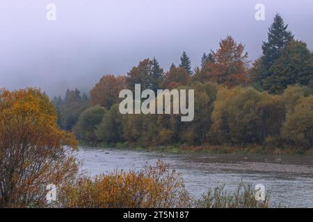 Nebel auf dem Fluss in Herbstbergen. Frostiger Morgen in den Bergen am Flussufer. Ruhige Herbstlandschaft mit Fluss. Malerische nebelige Landschaft. Stockfoto