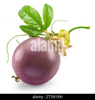 Lila Passionsfrucht mit grünen Blättern isoliert auf weißem Hintergrund. Stockfoto