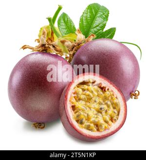 Dunkelviolette Passionsfrüchte und es ist halb mit anmutiger Innenseite auf weißem Hintergrund. Stockfoto