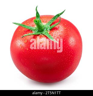 Frisch gewaschene rote Tomaten bedeckt mit Wassertropfen auf weißem Hintergrund. Stockfoto