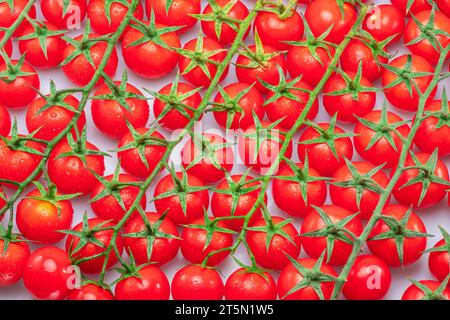 Viele rote Kirschtomatenzweige bedeckt mit kleinen Wassertropfen isoliert auf weißem Hintergrund. Draufsicht. Stockfoto