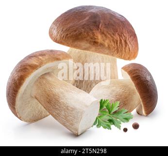 Stachelpilze und frische Petersilienblätter auf weißem Hintergrund. Stockfoto