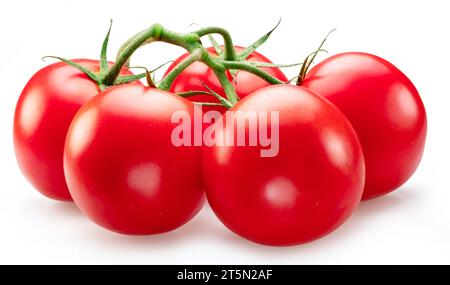 Tomatenzweig isoliert auf weißem Hintergrund. Makroaufnahme. Stockfoto