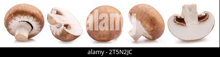 Champignons mit braunem Deckel und Pilzscheiben isoliert auf weißem Hintergrund. Nahaufnahme. Stockfoto