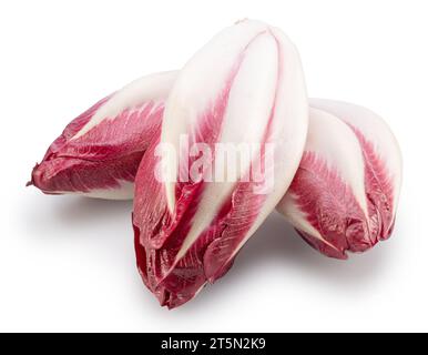 Rote Endivien auf weißem Hintergrund. Datei enthält Beschneidungspfad. Stockfoto
