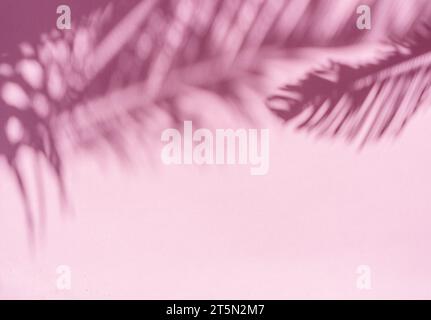 Verschwommener Schatten tropischer Palmenblätter auf rosa Wandhintergrund. Sommerkonzept. Stockfoto
