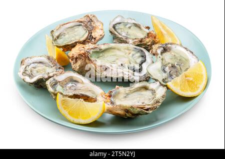 Rohe Austern serviert mit Zitronenscheiben auf Teller. Delikatessen. Datei enthält Beschneidungspfad. Stockfoto