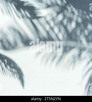 Verschwommener Schatten tropischer Palmenblätter auf grauem Hintergrund. Sommerkonzept. Stockfoto