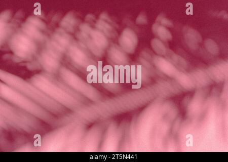 Verschwommener Schatten tropischer Palmenblätter auf rosa Wandhintergrund. Sommerkonzept. Stockfoto