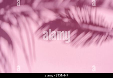 Verschwommener Schatten tropischer Palmenblätter auf rosa Wandhintergrund. Sommerkonzept. Stockfoto