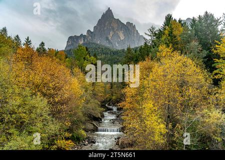 Herbst am Schwarzgriesbach und dem Berg Schlern in Seis am Schlern, Südtirol, Italien, Europa | Herbst am Schwarzgriesbach und am Schlern Stockfoto