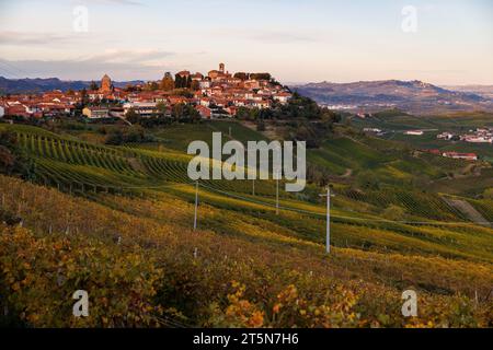 Weinberge in der Nähe von Verduno in Barolo, Piemont im Herbst Stockfoto