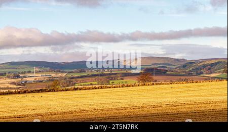 Dundee, Tayside, Schottland, Großbritannien. November 2023. Wetter in Großbritannien: Im ländlichen Dundee erzeugt die herbstliche Sonneneinstrahlung mit niedrigen Wolken auf höherem Boden eine spektakuläre Herbstlandschaft der Sidlaw Hills und Strathmore Valley. Quelle: Dundee Photographics/Alamy Live News Stockfoto
