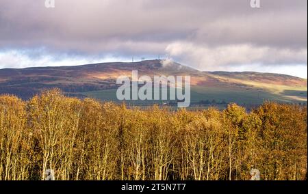 Dundee, Tayside, Schottland, Großbritannien. November 2023. Wetter in Großbritannien: Im ländlichen Dundee erzeugt die herbstliche Sonneneinstrahlung mit niedrigen Wolken auf höherem Boden eine spektakuläre Herbstlandschaft der Sidlaw Hills und Strathmore Valley. Quelle: Dundee Photographics/Alamy Live News Stockfoto