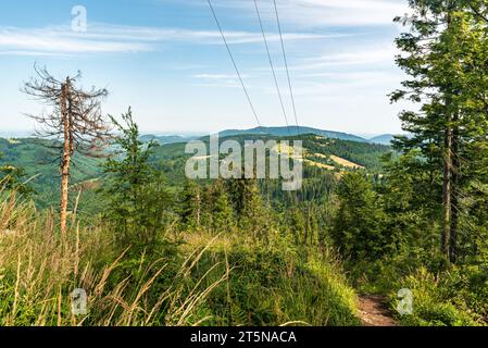 Blick vom Velky Stozek Hügel in den Slezske Beskiden Bergen an der tschechisch-polnischen Grenze an schönen Sommertagen Stockfoto